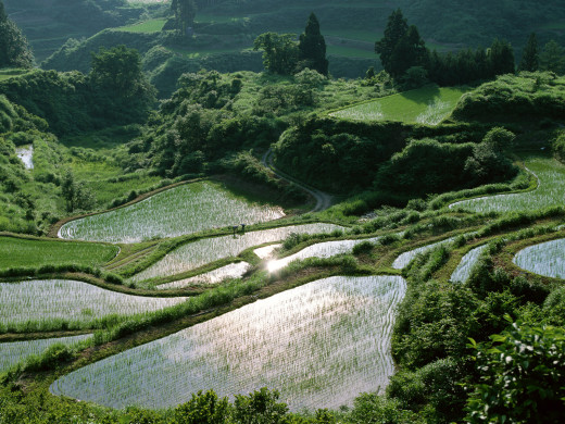 36793 (a): :1600x1200
